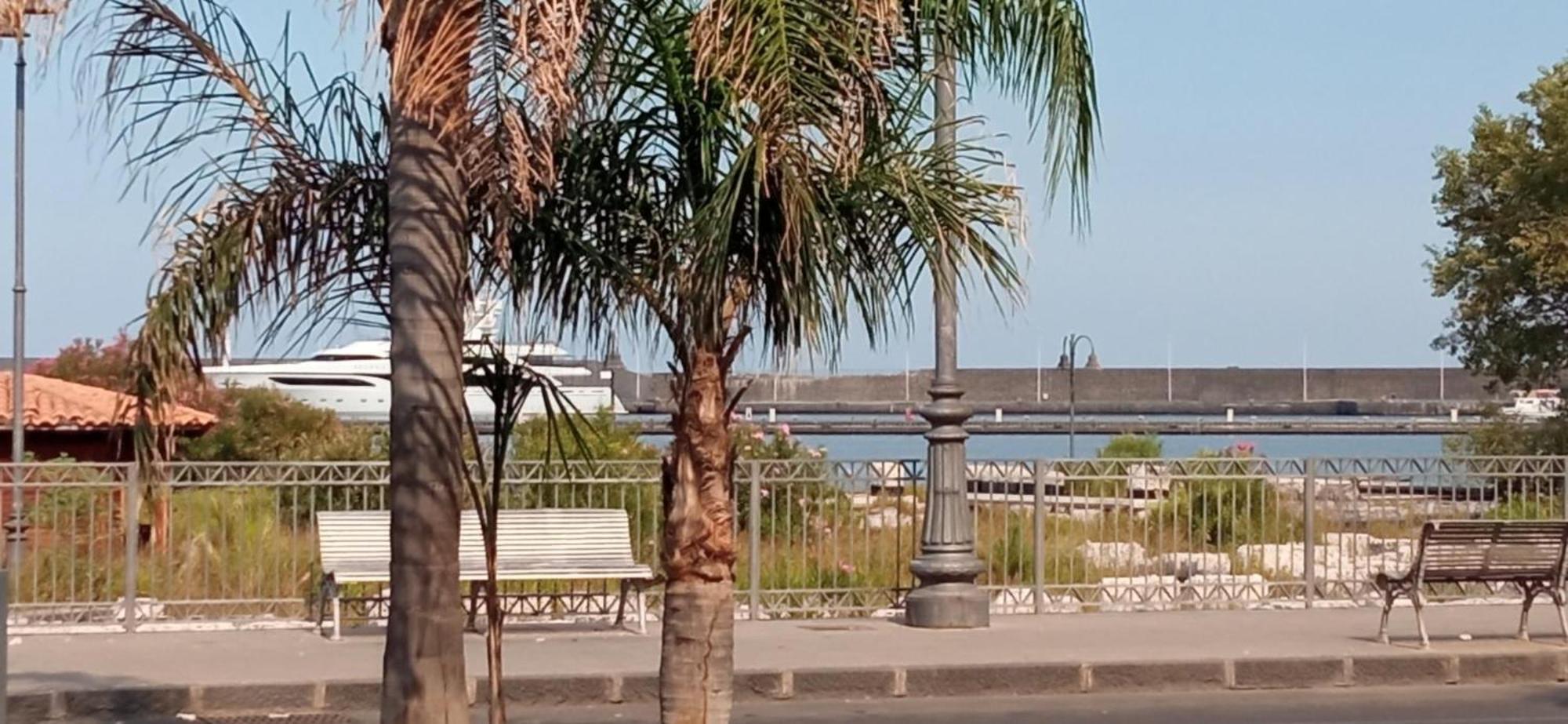Holiday Home Tropicana Маскали Екстериор снимка